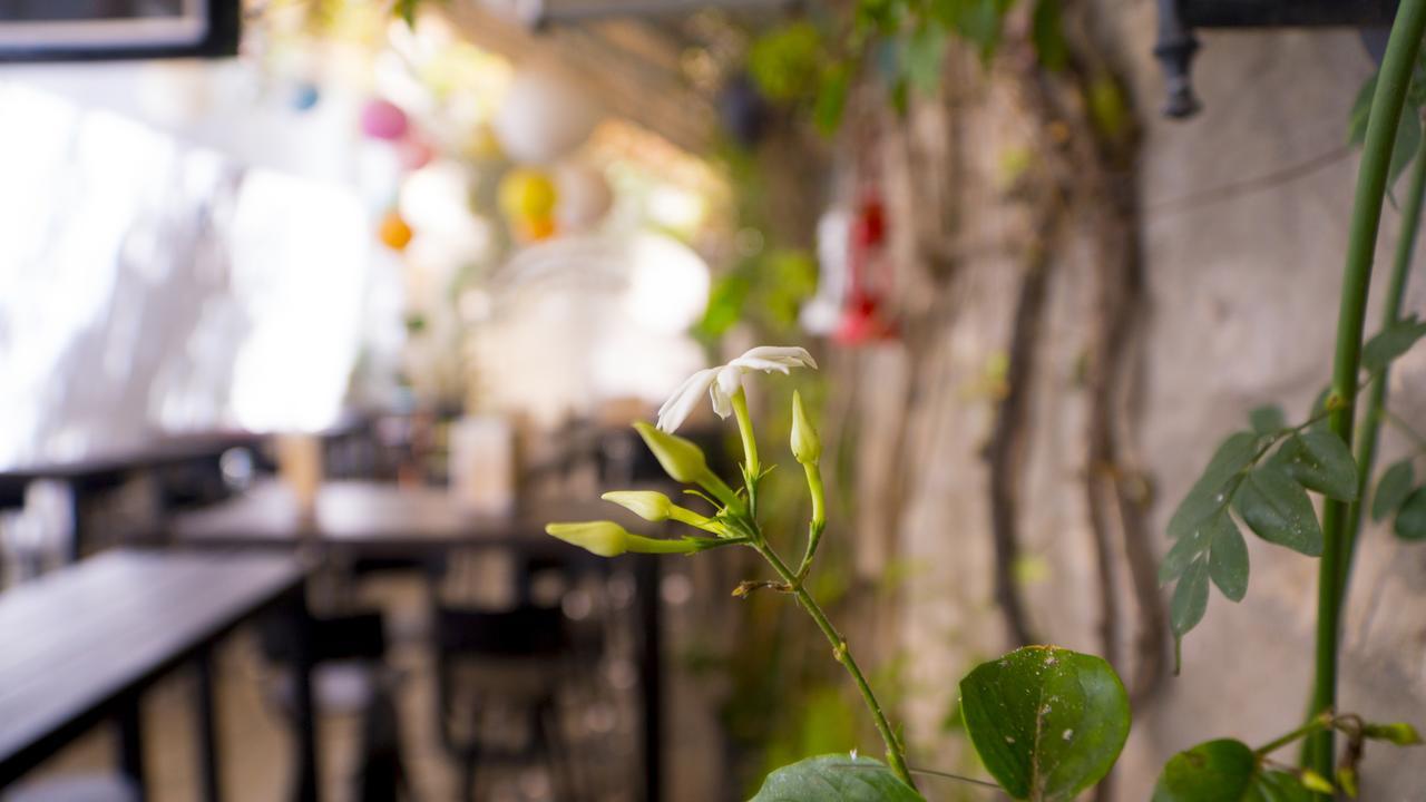 Hotel Lafayette Tunis Eksteriør bilde